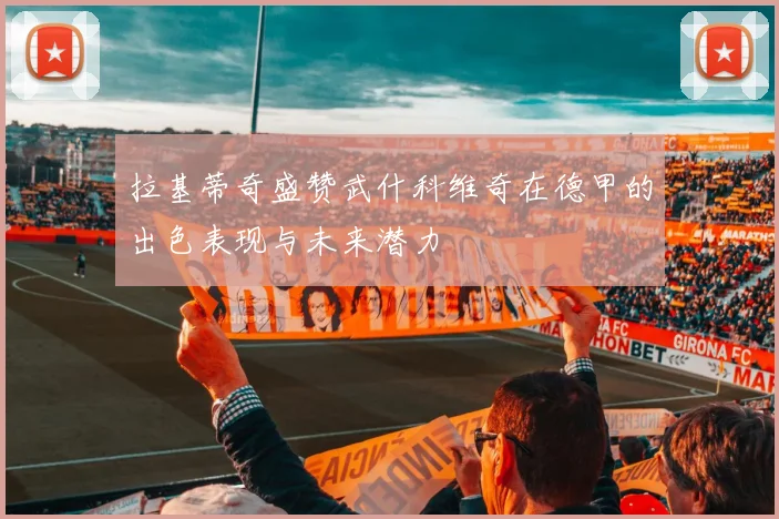 拉基蒂奇盛赞武什科维奇在德甲的出色表现与未来潜力